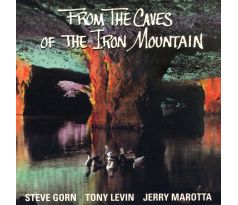 Levin Tony - From The Caves Of (CD) I CDAQUARIUS:COM