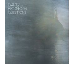 Bronson David - Questions (CD) audio CD album CDAQUARIUS.COM