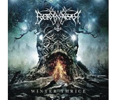 Borknagar - Winter Thrice (CD) I CDAQUARIUS:COM