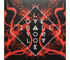 Band Of Skull - Love Is All You Love (CD) audio CD album