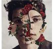 Mendes Shawn - Shawn Mendes (CD) audio CD album