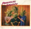 Phantastic Ferniture - Phantastic Ferniture (CD) audio CD album