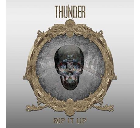 Thunder - Rip It Up / 2LP Vinyl album