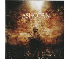 Ashcorn - Vision For Your Instinct (CD) audio CD album