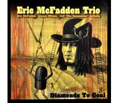 McFadden Eric Trio - Diamonds To Goal (CD) audio CD album