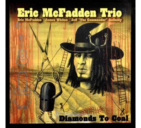 McFadden Eric Trio - Diamonds To Goal (CD) audio CD album