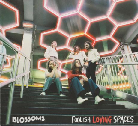 Blossoms - Foolish Loving Spaces (CD) Audio CD album