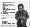 Davis Miles - Rubberband (CD) Audio CD album