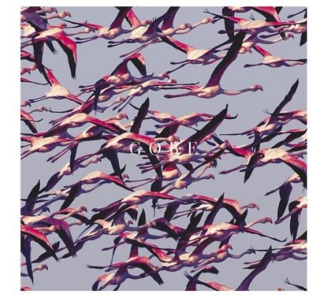 Deftones - Gore / 2LP Vinyl LP album