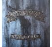 Bon Jovi - New Jersey / 2LP Vinyl album