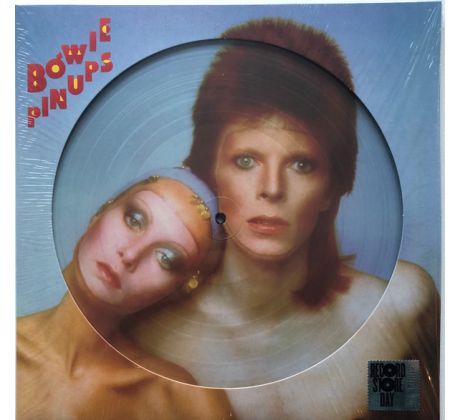 Bowie David - Pinups / LP Vinyl LP album