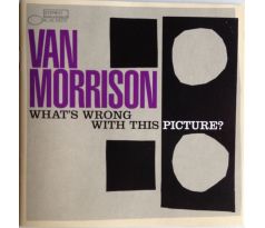 Van Morrison - What's Wrong With This Picture ? (CD)