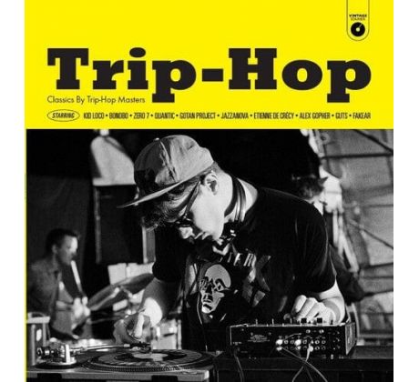 V.A. - Trip-Hop (Classics By Trip-Hop Masters) / LP