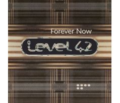 Level 42 - Forever Now / LP Vinyl