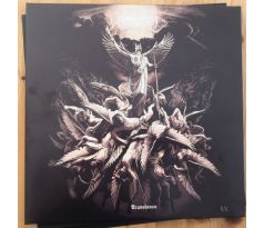 Permutation - Transience - Coloured Vinyl / LP Vinyl